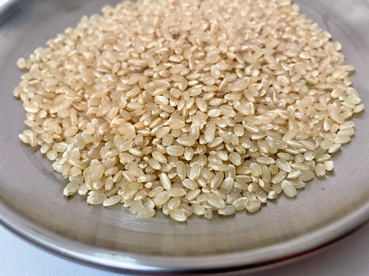 銀河のしずく 令和7年産 玄米 20Kg | 藤村光果樹園