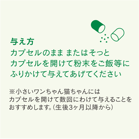 VITALAND Joint＋（犬猫用サプリメント）※2026年7月より販売開始