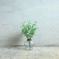 真鍮口巻きガラスの入れ物