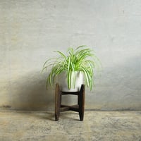 古木の木製糸巻　〈100C〉