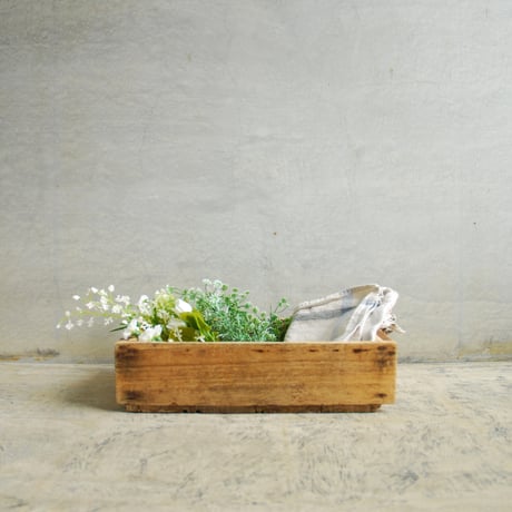 ウッドボックス ホワイト×レッド 新品 レッドスプレンダー ボウル 18cm|WEDGWOOD公式オンラインストア