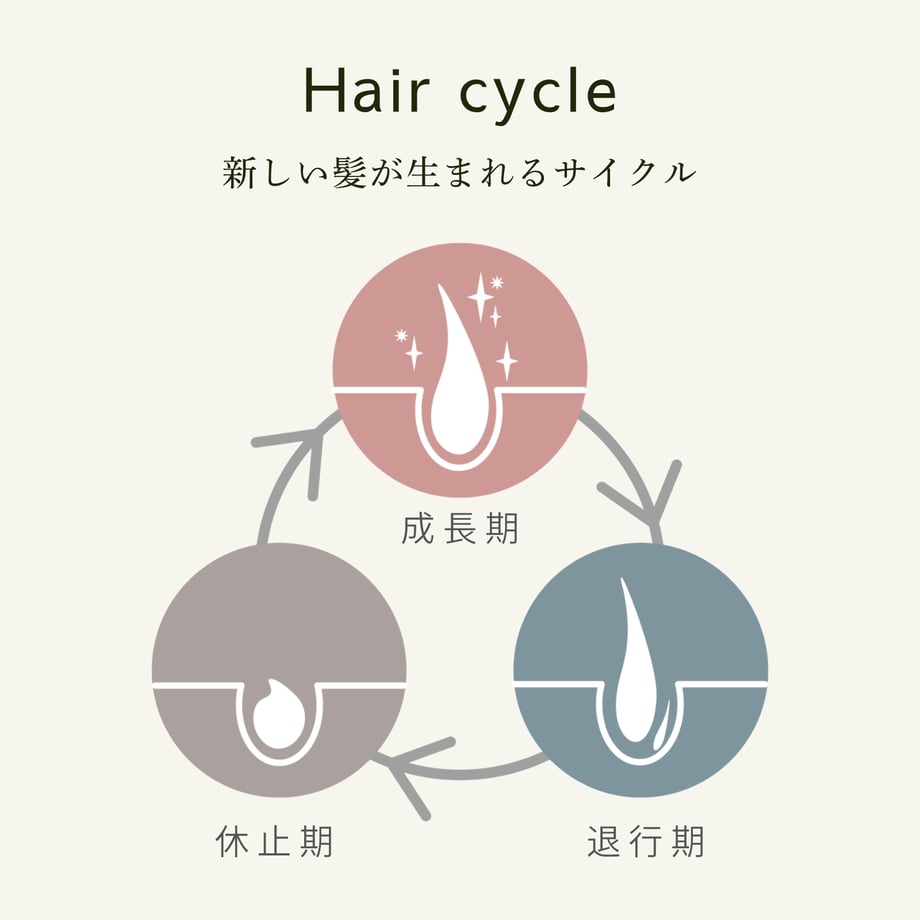 69a83aa73e183ed0f8128e0a
