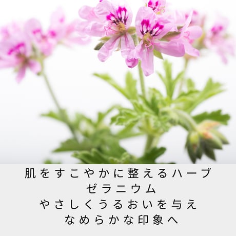 エフユージェル 30ml