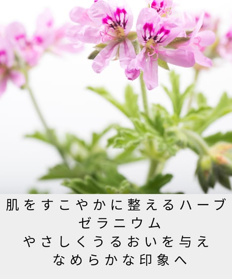 エフユージェル 30ml