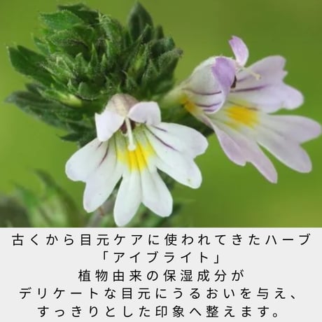 Make It＆Co アイジェル　30ml