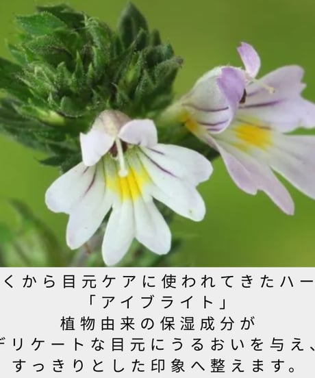 Make It＆Co アイジェル　30ml
