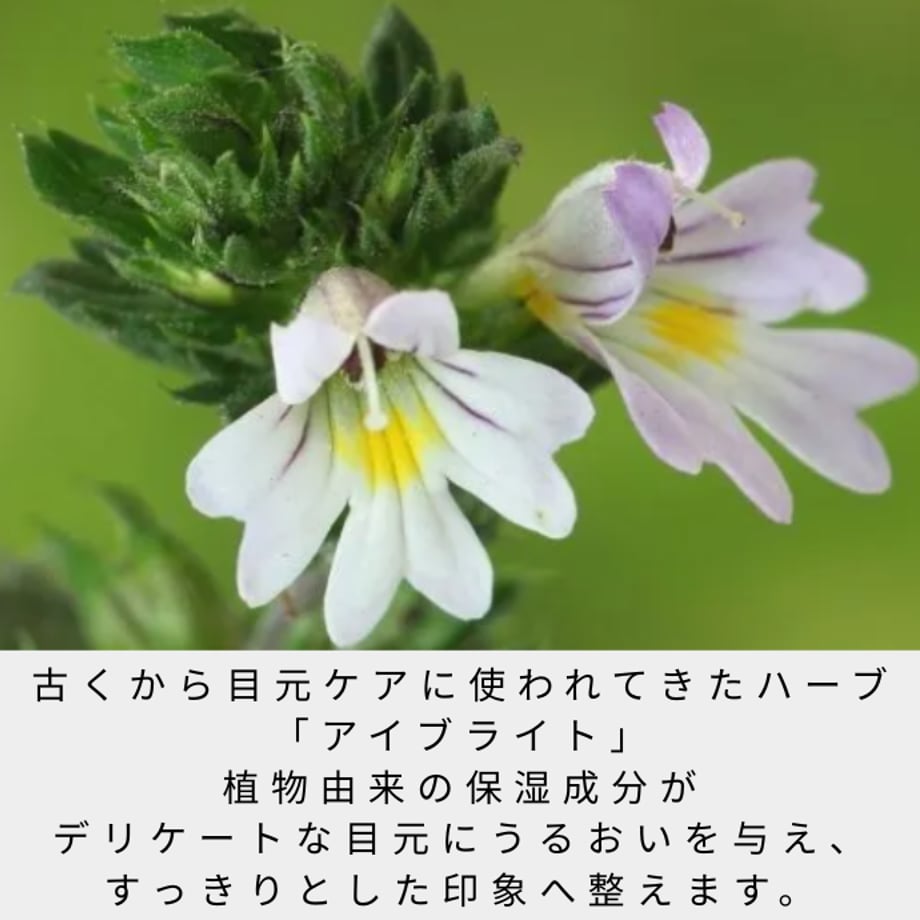 69b9356b818613669dab758f