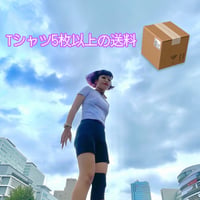 Tシャツ5枚以上の送料