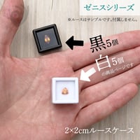【白5黒5個】2cmルースケース【白・黒セット／アクリル窓／ゼニスシリーズ】