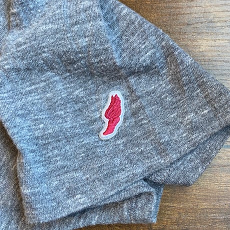 【LEAGUE】DELAWARE デラウェア大学 カレッジTシャツ L | ブルー・ヘンズ マスコット Tシャツ