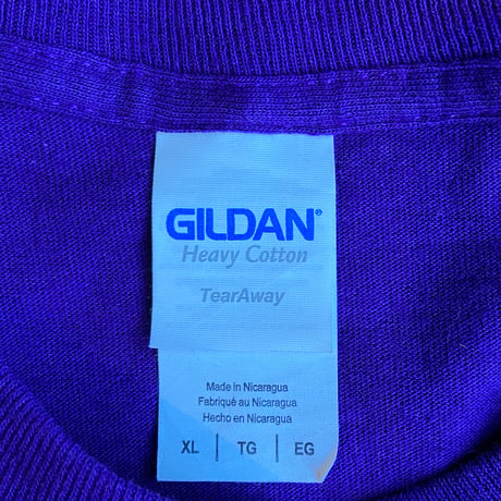 【Lake City Elementary School】 学校プリントTシャツ XL パープル GILDANボディ キャンディハーツ