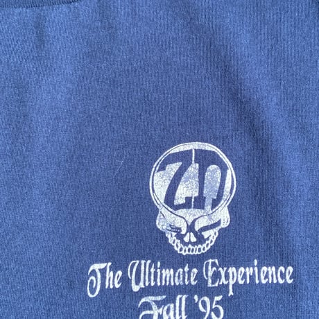 90s 【The Ultimate Experience】 ヴィンテージ プリントTシャツ Fall '95 | FRUIT OF THE LOOM BEST ボディ  XL