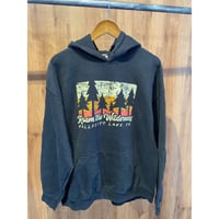 【GILDAN】 VALLECITO LAKE コロラド ネイチャープリント スウェットパーカー ブラック XL