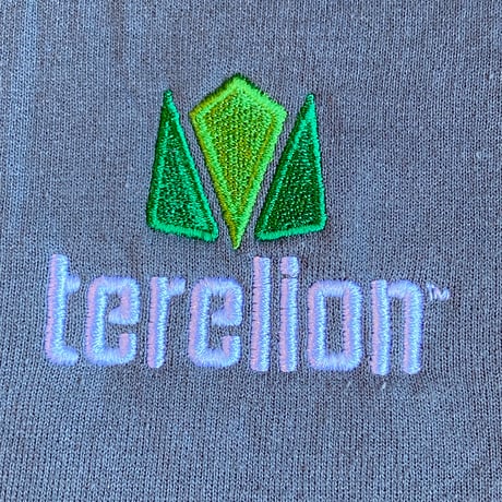【GILDAN】terelion ロゴ  スウェット L アッシュグレー 裏起毛