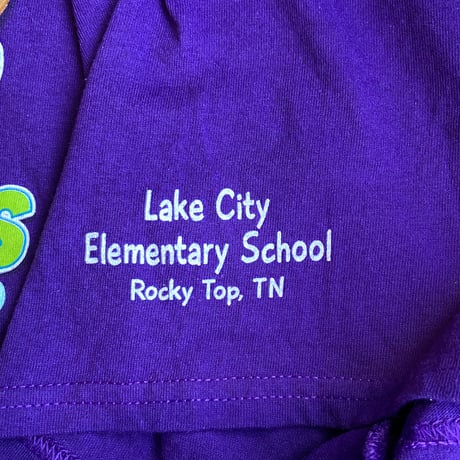 【Lake City Elementary School】 学校プリントTシャツ XL パープル GILDANボディ キャンディハーツ