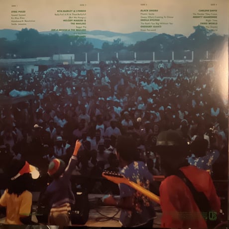 V.A./ REGGAE SUNSPLASH '81