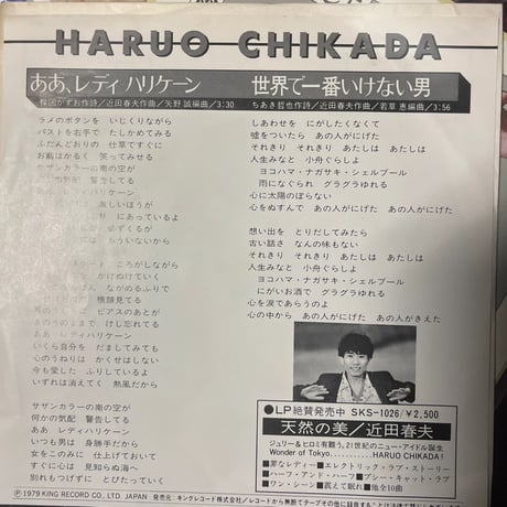 近田春夫/ああ、レディハリケーン