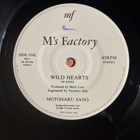 佐野元春/WILD HEARTS