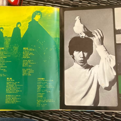 ザ・タイガース/ ヒューマン・ルネッサンス
