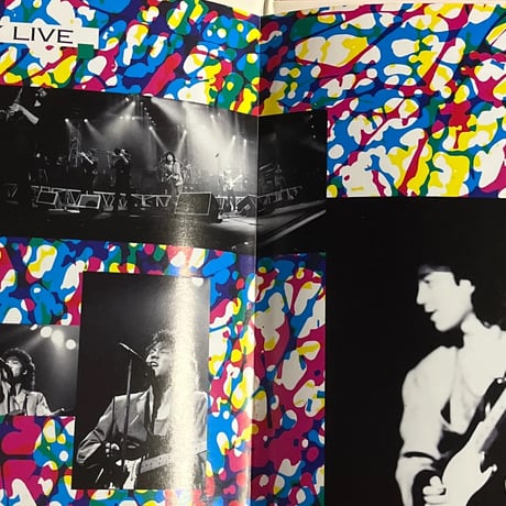 佐野元春/WILD HEARTS