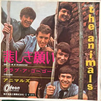 the animals/ DON’T LET ME BE MISUNDERSTOOD