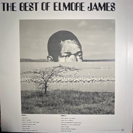 ELMORE JAMES/ THE BEST OF ELMORE JAMES
