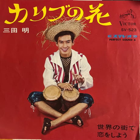 三田明/ カリブの花