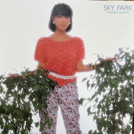 河合奈保子/ SKY PARK スカイ・パーク