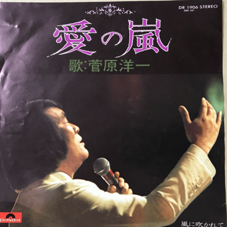 菅原洋一/ 愛の嵐