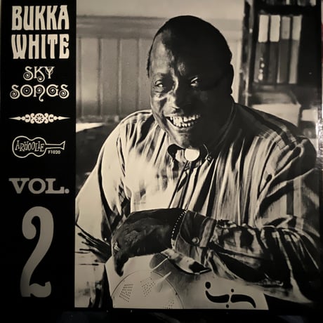 BUKKA WHITE/ SKY SONGS　Vol.2