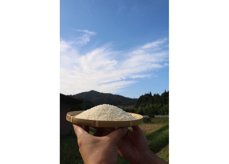 定期便 30kg（玄米) 】｜毎月15日発送 | 御幣田米