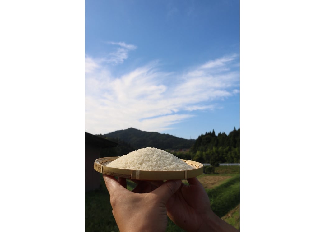 定期便 30kg（玄米) 】｜毎月15日発送 | 御幣田米