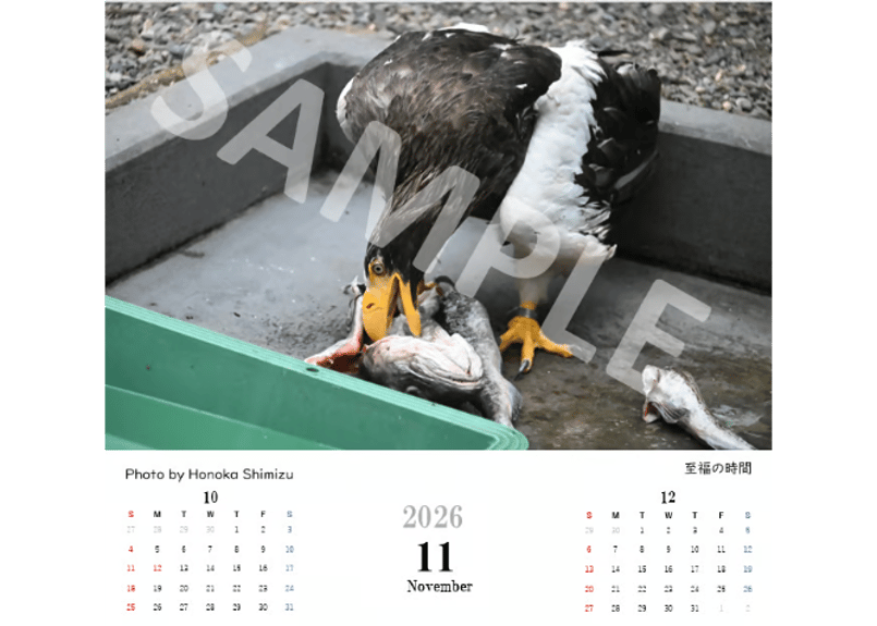 チャリティーカレンダー2026 | 猛禽類医学研究所カレンダーショップ