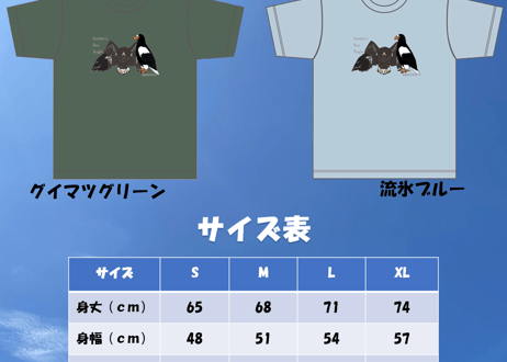 第7弾！IRBJオリジナルTシャツーオオワシの成長ー