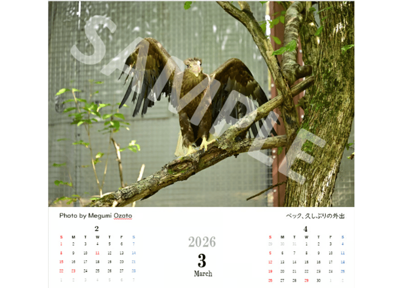 チャリティーカレンダー2026 | 猛禽類医学研究所カレンダーショップ