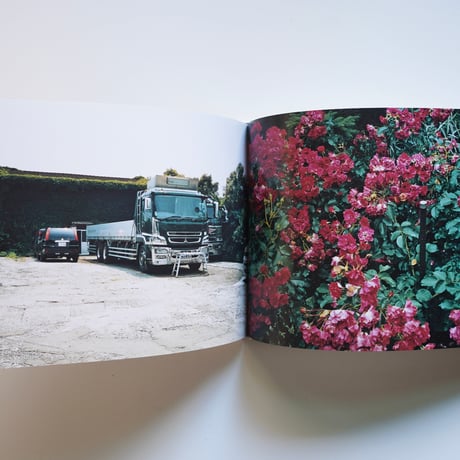 清野賀子 至るところで心を集めよ立っていよ Seiko Kiyono  Everywhere Gather Yourself Stand [古書]