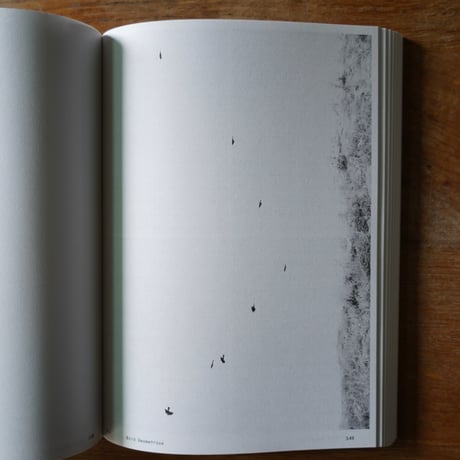 Anne Geene & Arjan De Nooy　Ornithology