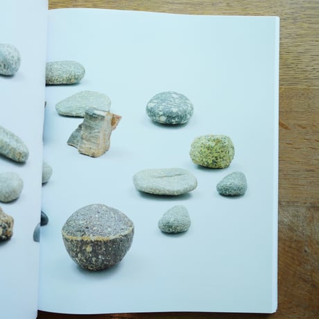 Vija Celmins