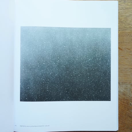 Vija Celmins