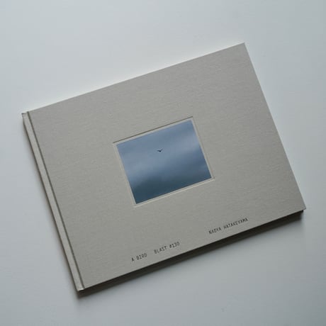 畠山直哉 Naoya Hatakeyama - A BIRD blast #130