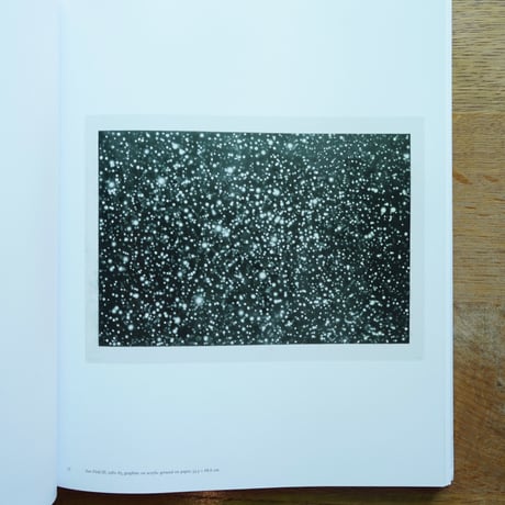 Vija Celmins