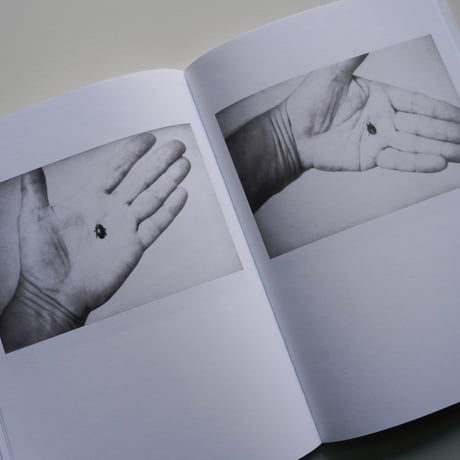 Jochen Lempert - Local Ecology MOULIN DES RIBES