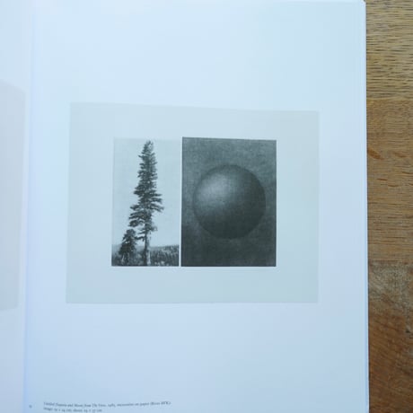 Vija Celmins