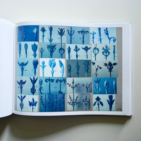 KARL BLOSSEFELDT WORKING COLLEGES [古書]