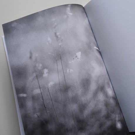 Jochen Lempert - Local Ecology MOULIN DES RIBES