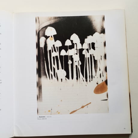 SIGMAR POLKE