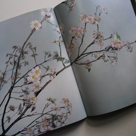 Paul Graham - Empty Heaven: Photographs from Japan 1989-1995