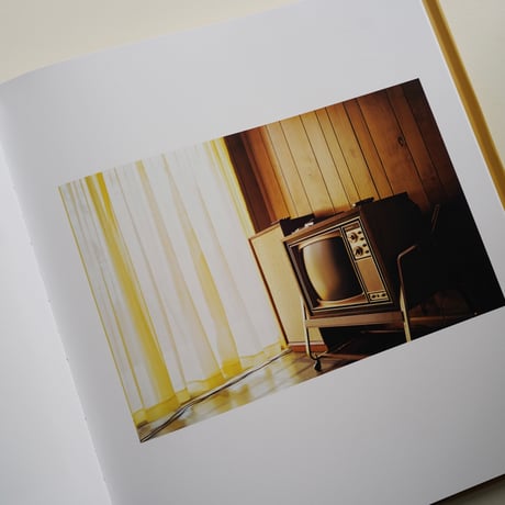 William Eggleston - For Now