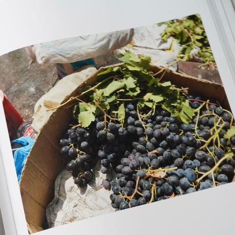 Stephen Shore - From Galilee to the Negev (古書)