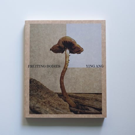 Ying Ang Fruiting Body